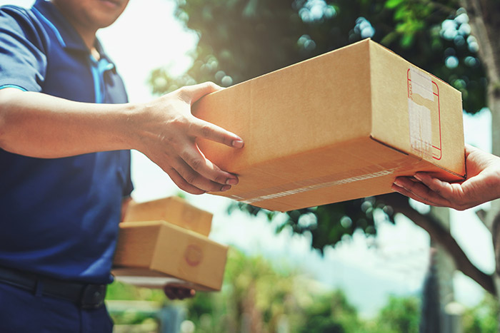 Document & Parcel Shipping
